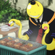 Illustration for article titled The 12 Anime of Winter 2016 You Should Be Watching